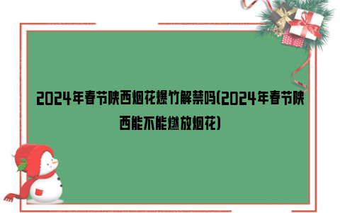 2024年春节陕西烟花爆竹解禁吗（2024年春节陕西能不能燃放烟花）